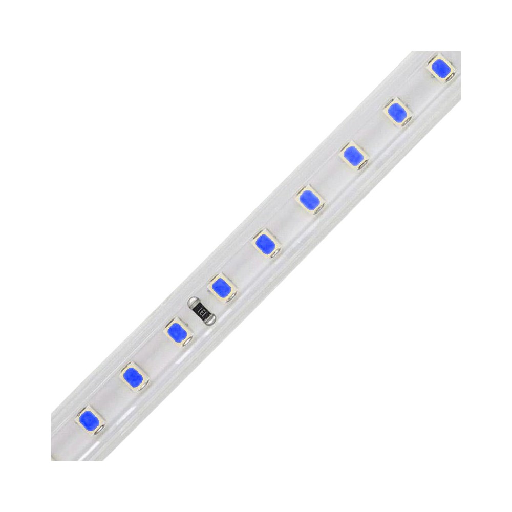 FITA LED 2835 120 LEDS 12W 220V IP65 AZUL