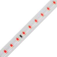FITA LED 2835 120 LEDS 12W 220V IP65 VERMELHO