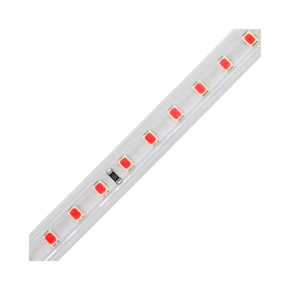 FITA LED 2835 120 LEDS 12W 220V IP65 VERMELHO
