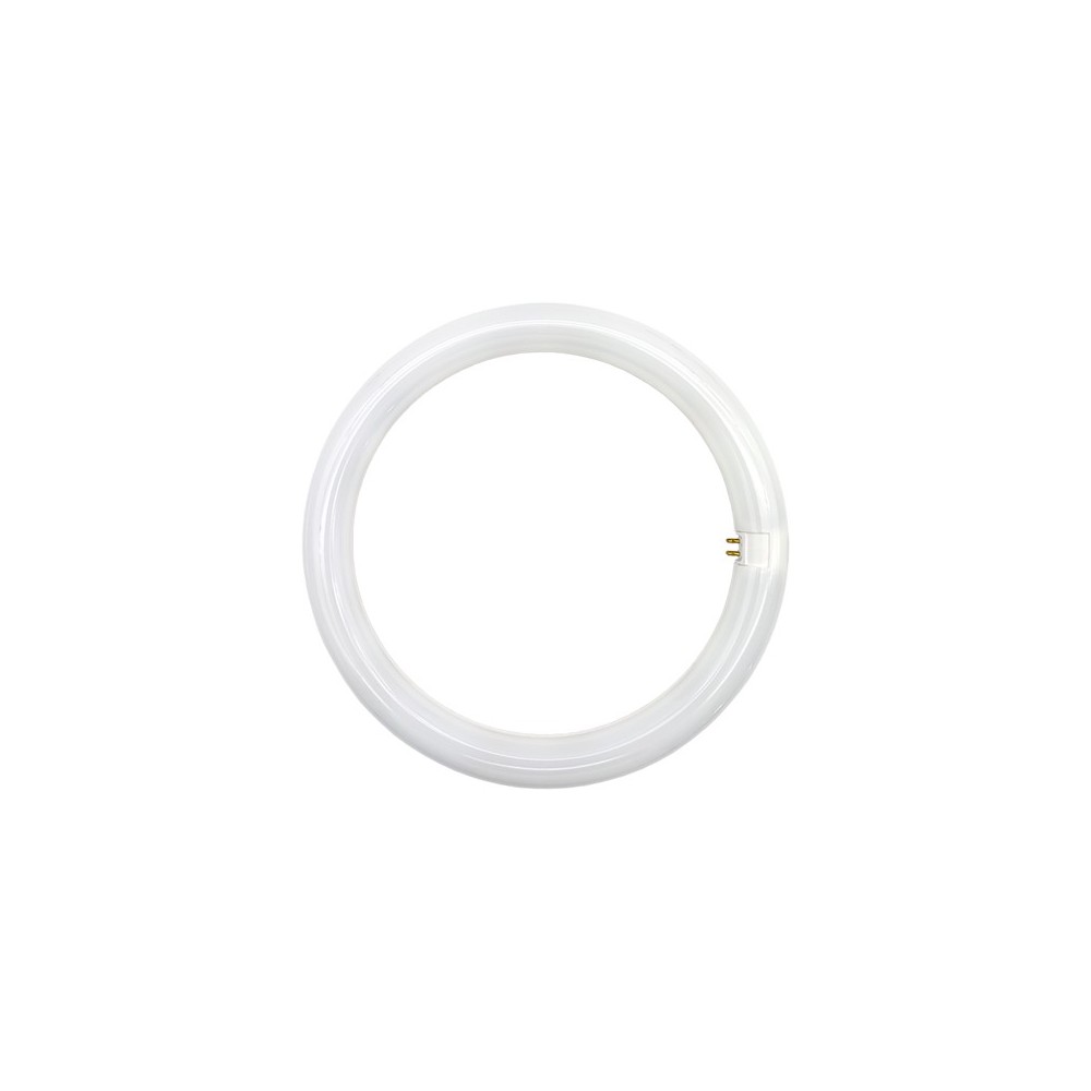 LÂMPADA T9 CIRCULAR 15W 6400K