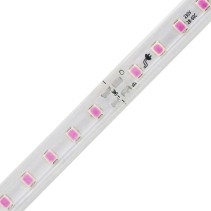 FITA LED 2835 120 LEDS 12W 220V IP65 10-10CM ROSA