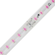 FITA LED 2835 120 LEDS 12W 220V IP65 10-10CM ROSA