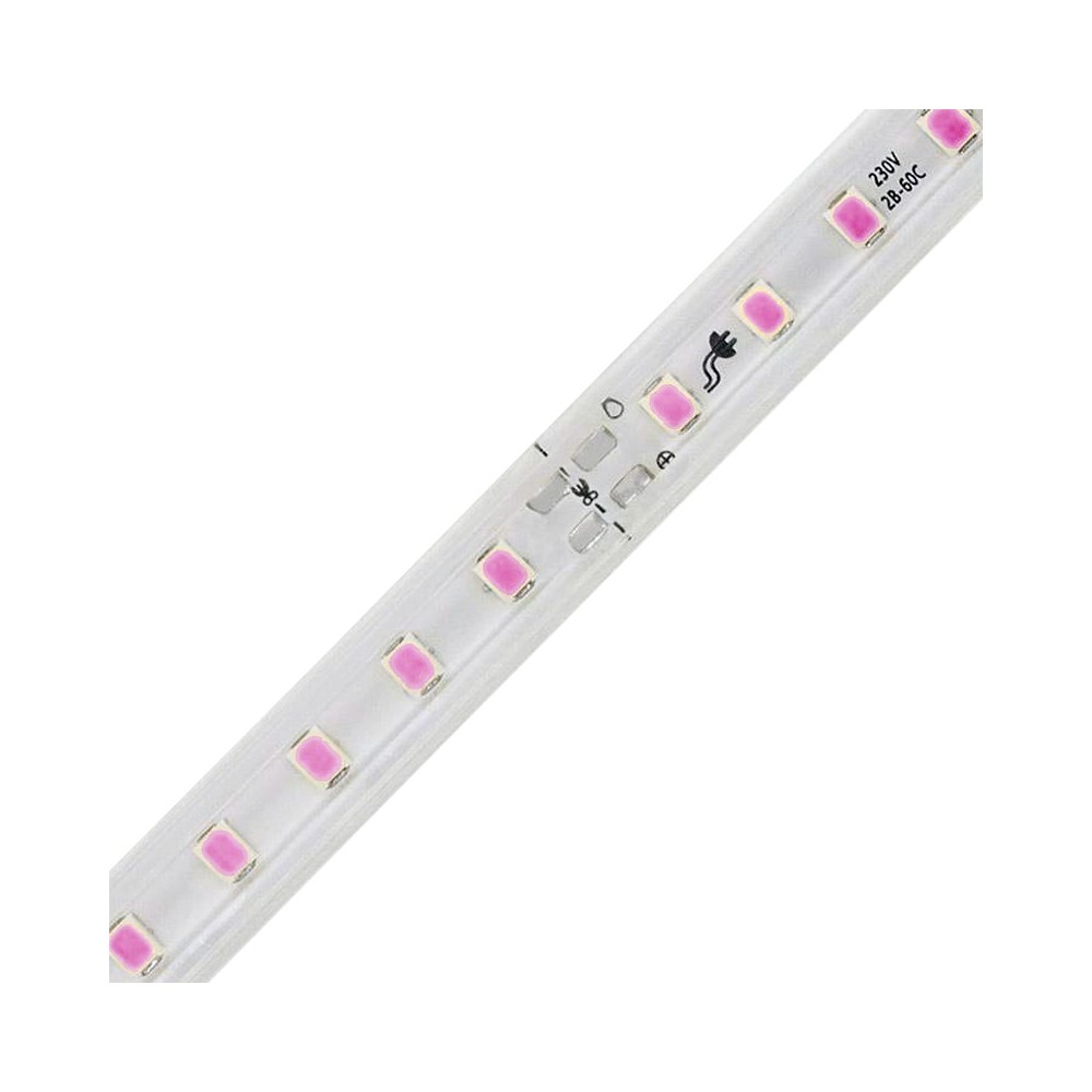 FITA LED 2835 120 LEDS 12W 220V IP65 10-10CM ROSA