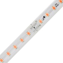 FITA LED 2835 120 LEDS 12W 220V IP65 10-10CM LARANJA