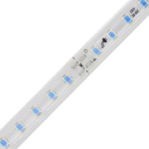 FITA LED 2835 120 LEDS 12W 220V IP65 10-10CM AZUL